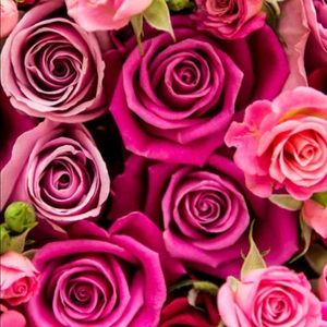 💞50%OFF Valentine SALE!❤️💞